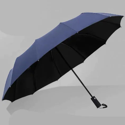 Automatic Folding Sunshade