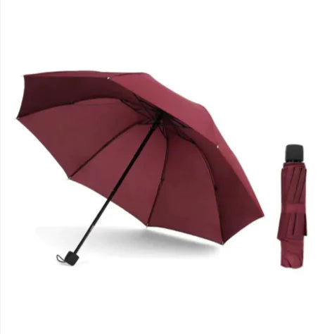 Automatic Folding Sunshade
