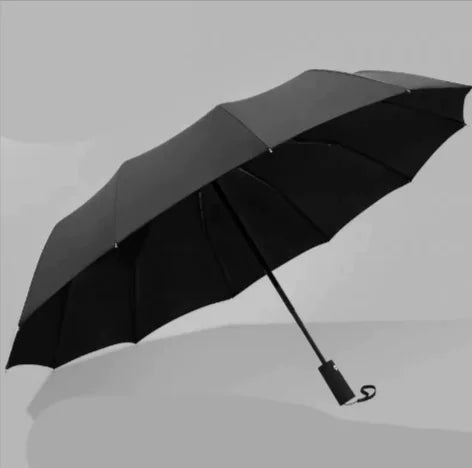 Automatic Folding Sunshade