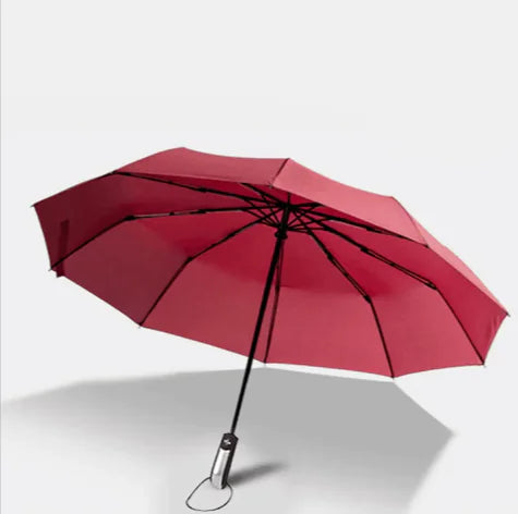 Automatic Folding Sunshade